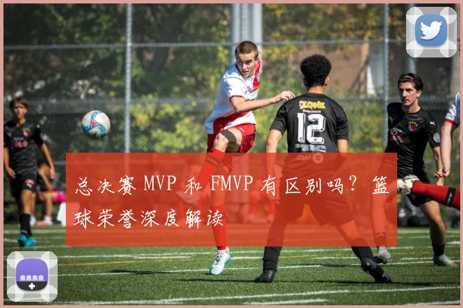 总决赛 MVP 和 FMVP 有区别吗？篮球荣誉深度解读